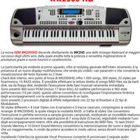 Tastiera gem 2000hd con karaoke  HD 1000 brani