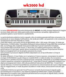 Tastiera gem 2000hd con karaoke  HD 1000 brani