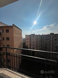 Mono/bilo Arenella parco la pineta