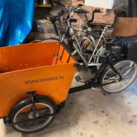 Cargo bike Babboe bike muscolare 