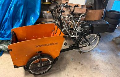 Cargo bike Babboe bike muscolare 
