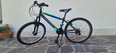 Bicicletta mountain bike bambino 24