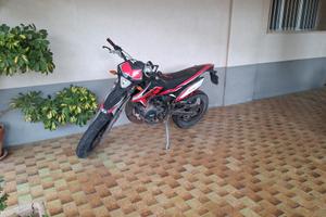 Beta Rr 50