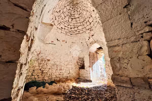 RUSTICO A CEGLIE MESSAPICA