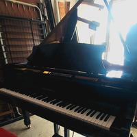 pianoforte Tedesco Hoffman 