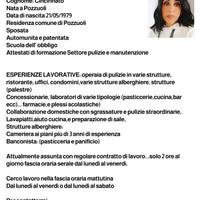 operaia di pulizie 