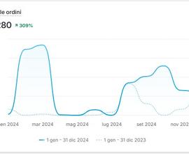 Attività Ecommerce Online Alti Fatturati