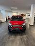 fiat-panda-1-0-firefly-s-s-hybrid-pandina