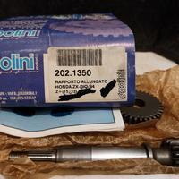 honda dio rapporti polini 