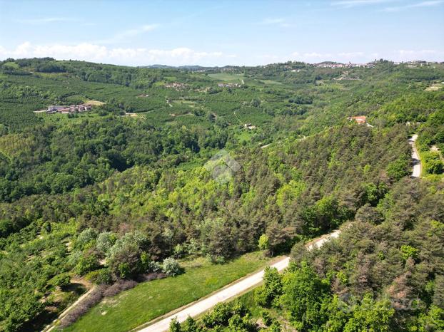 TER. AGRICOLO A LEQUIO BERRIA