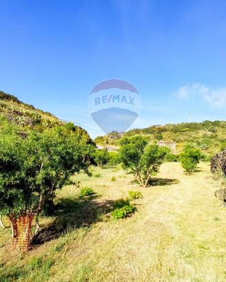 Terreno Edificabile - Pantelleria