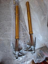 forcelle ohlins mts