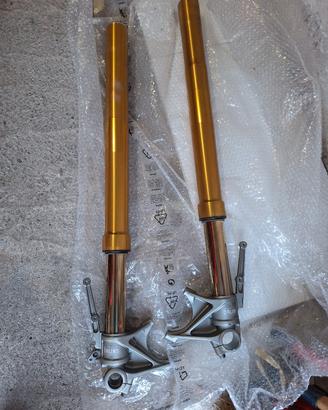 forcelle ohlins mts