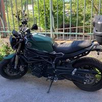 Benelli Leoncino 800