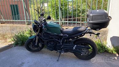 Benelli Leoncino 800