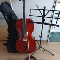 violoncello 