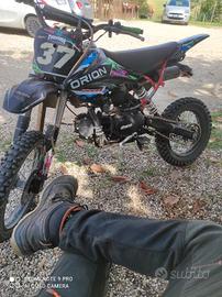 Pit bike Dreams 155