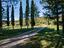 Immagine 16