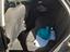 Immagine 11
