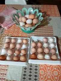 Prodotti tipici biologico