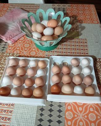 Prodotti tipici biologico