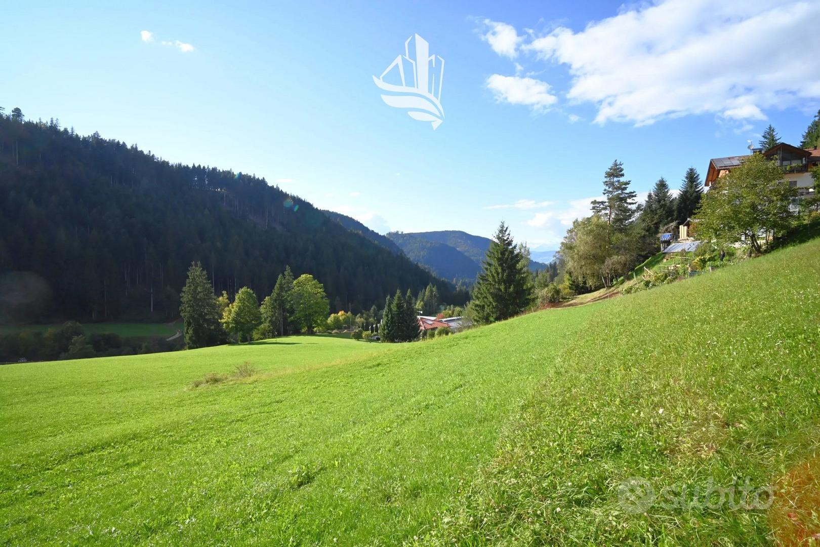 Nuovo quadrilocale ad Ega con giardino - vivere - Vista 4