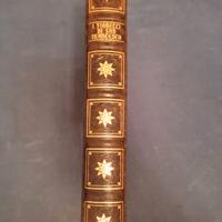 FIORETTI DI SAN FRANCESCO 