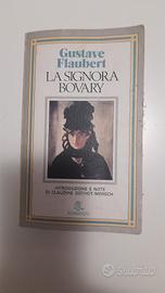 libro madame bovary