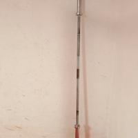 bilanciere olimpionico 