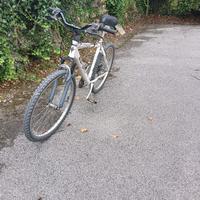 MTB Esperia