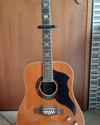 Chitarra acustica EKO RANGER 12 corde