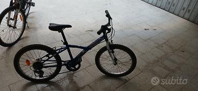 bici da 20