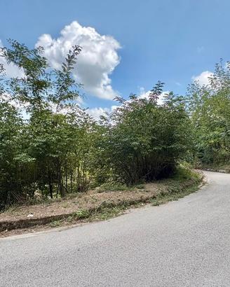A poca distanza dal centro di Montefredane