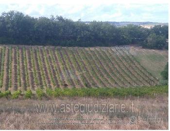 Terreno Agricolo Rosciano [A4353976]