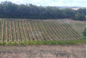 Terreno Agricolo Rosciano [A4353976]