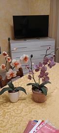 Orchidea uncinetto 