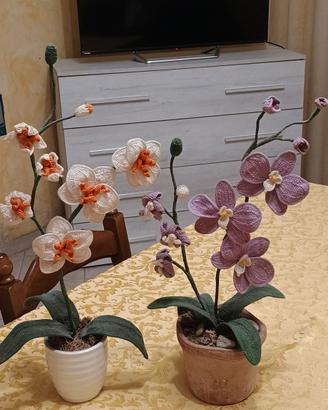 Orchidea uncinetto 