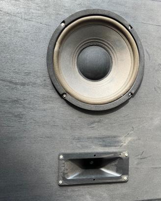 Tweeter a tromba