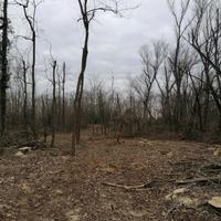 Terreno agricolo / boschivo