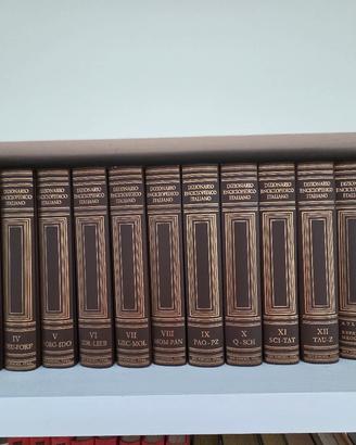 Treccani Dizionario Enciclopedico Italiano 