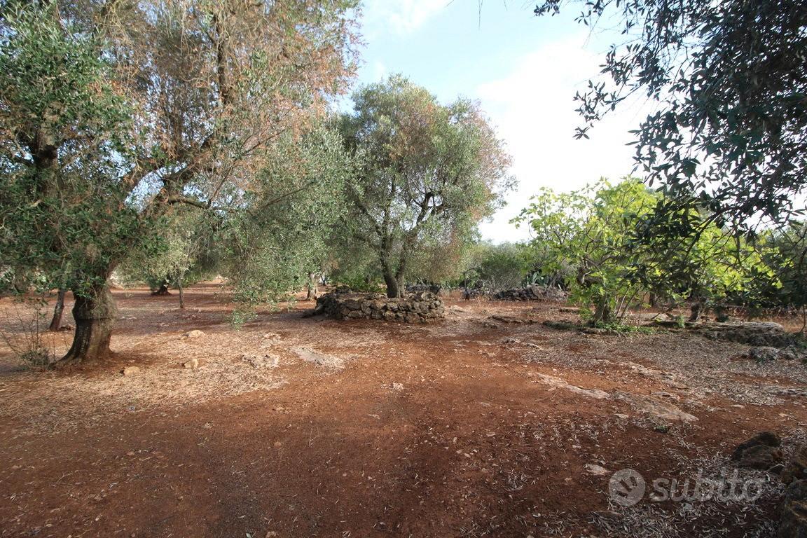 House in Martina Franca, Taranto - Vista 5