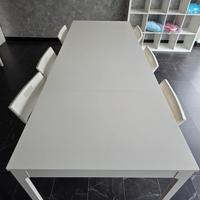  2 tavoli allungabili+ 12 sedie pieghevoli
