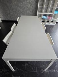  2 tavoli allungabili+ 12 sedie pieghevoli