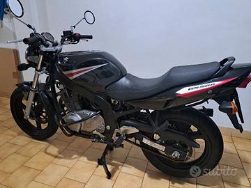 Suzuki GS 500 - 2005
