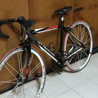 Bottecchia Unica