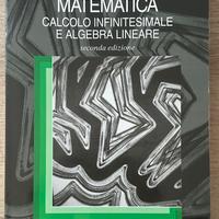 Matematica calcolo infinitesimale e algebra linear