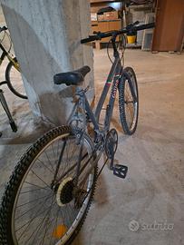 Bicicletta Mountain Bike Gatto - Grigio