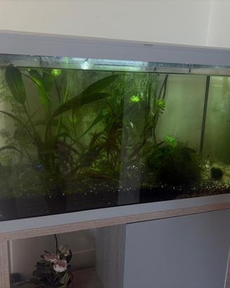 Aquario aqualovers da 60 litri + mobiletto