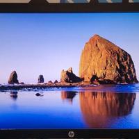 coppia di 2 monitor pc fisso