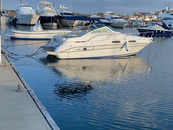 Sea ray 230 sundancer 5.0 mpi